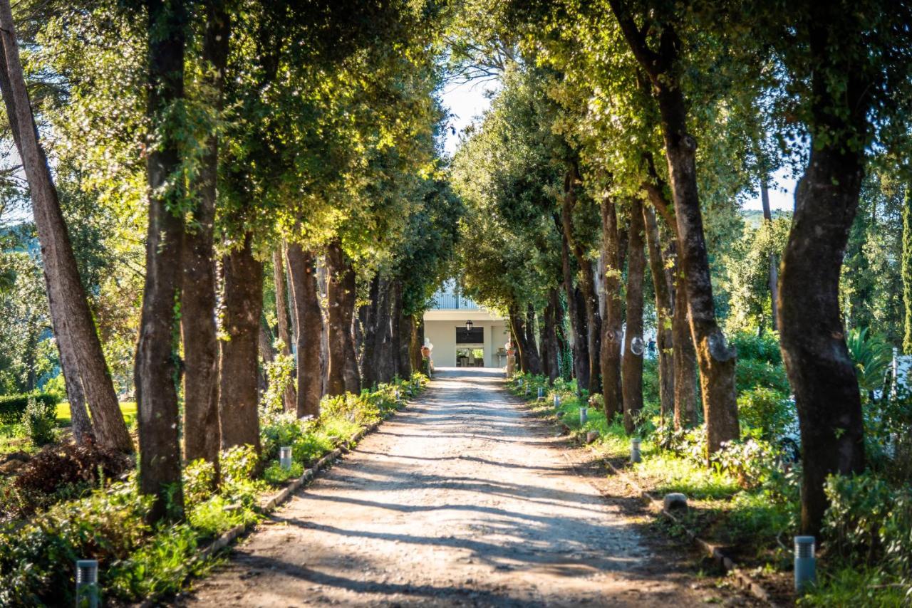Villa Ortensia D'Avalos Alvignano Esterno foto